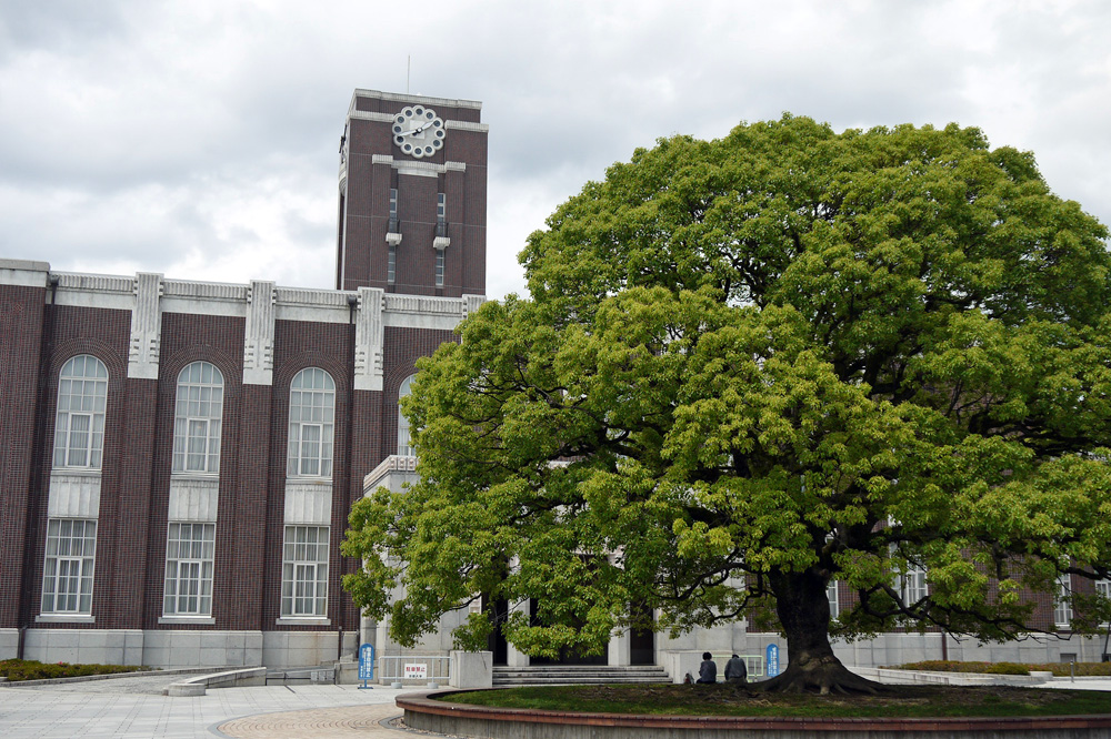 京都大学